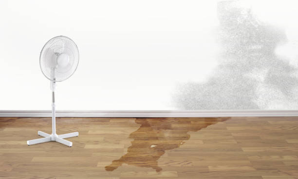 Best Mold removal after water damage  in Germantown, MD