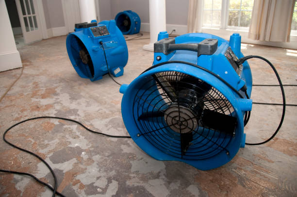 Best Water damage restoration mold remediation  in Germantown, MD