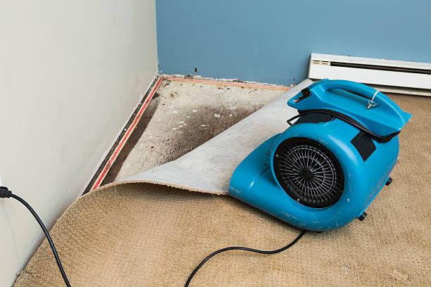 Best Water damage cleanup near me  in Germantown, MD